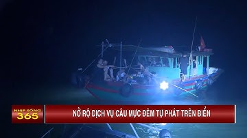 Nở rộ dịch vụ câu mực đêm tự phát trên biển