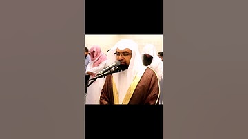 سوره الزلزلة - ترتيل عراقي. الشيخ ناصر القطامي.