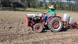 Então vamos plantar milho 🌽 by Rancho Leguminoso 981 views 1 year ago 2 minutes, 36 seconds
