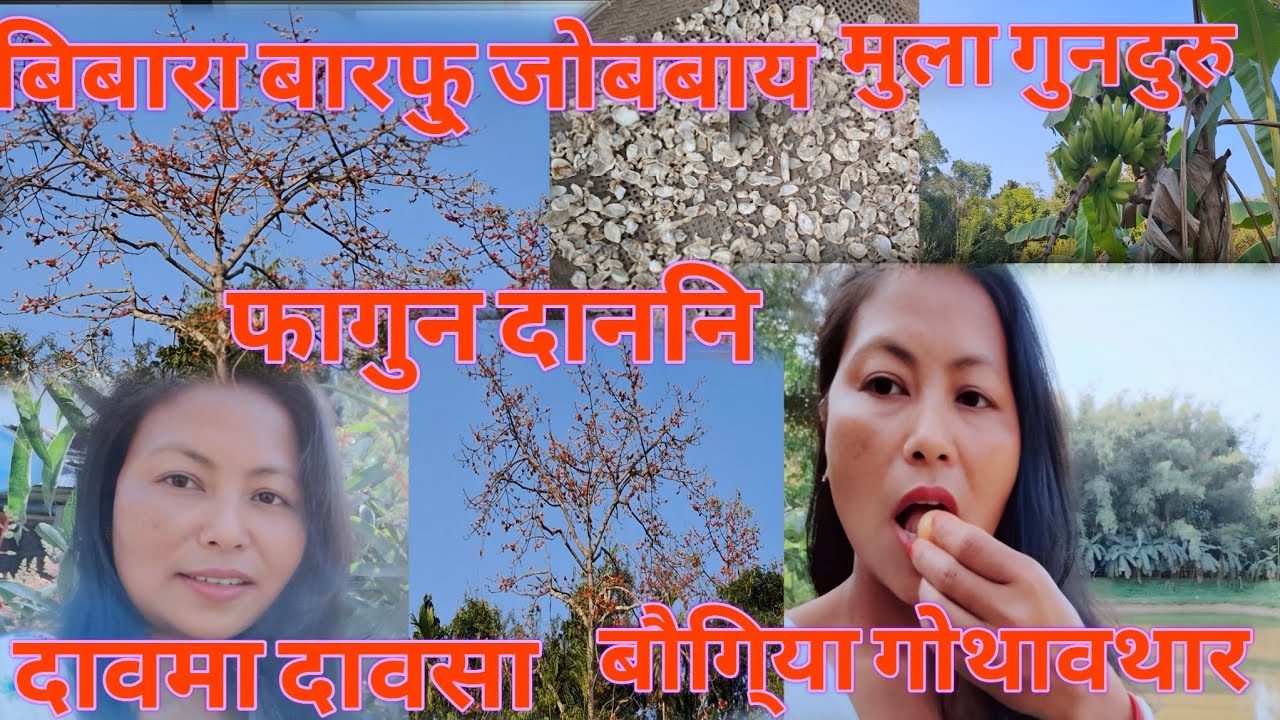 Mula gundurua ranhangbai