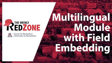 REDZone - Multilingual Module with Field Embedding (Deprecated Module)