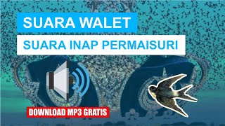 SUARA WALET INAP PERMAISURI.