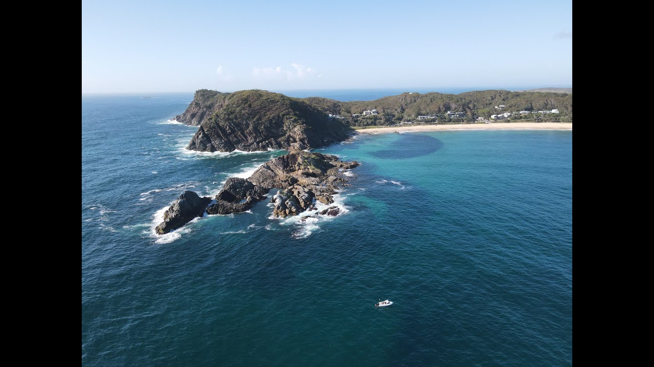 Free Diving At Seal Rocks