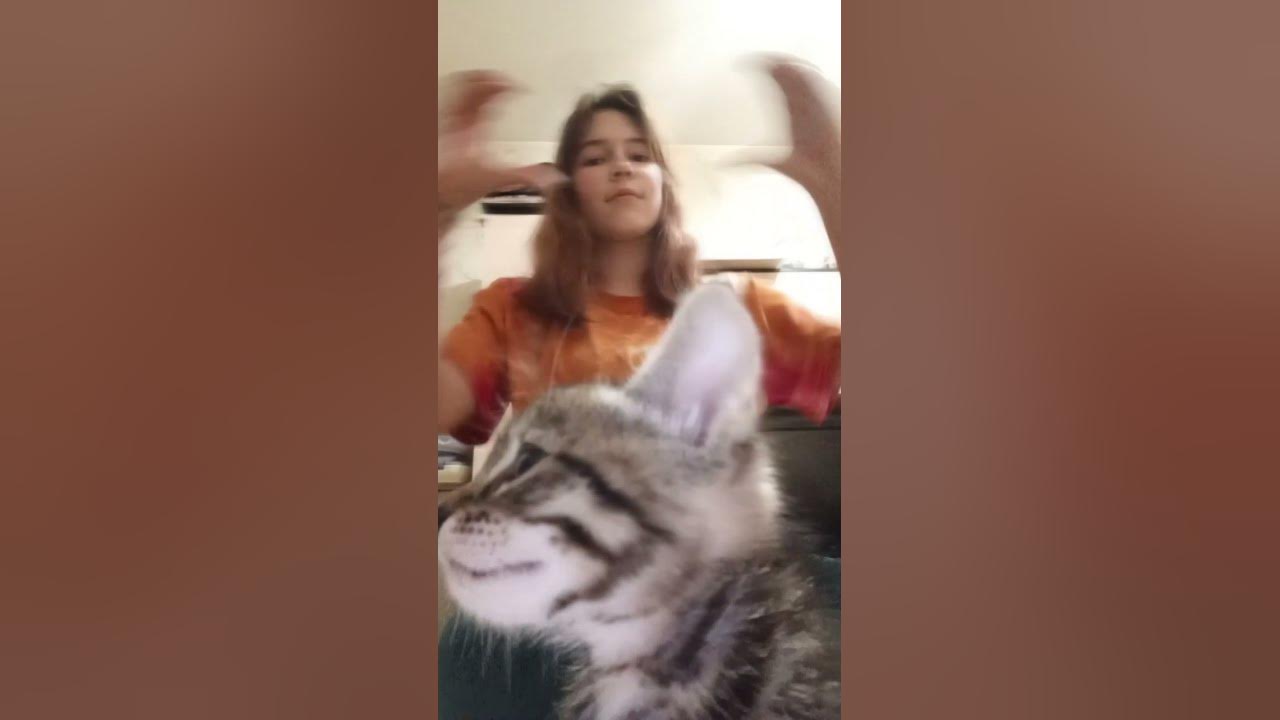 тутуту - YouTube