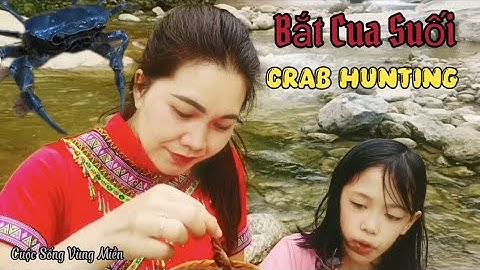 Thú Vui Bắt Cua Suối Giữa Núi Rừng - Catching Crabs in a Mountain Stream