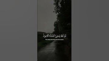 اكتب شيء تؤجر عليه. #عبدالرحمن_مسعد #سورة_العنكبوت #راحة_نفسية #quran #explore