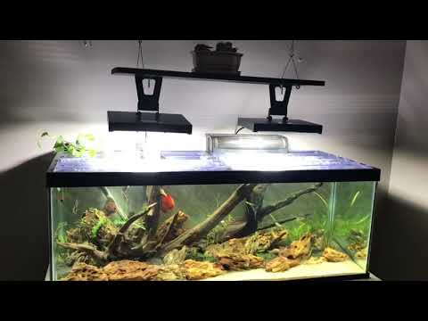 Diy led flood light the planted aquarium