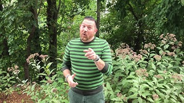 Polaris MEP Lean Tip of the Week - Let