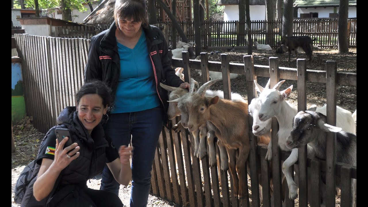Radnici Beo Zoo Vrta u poseti Zoo Segedin   2/3