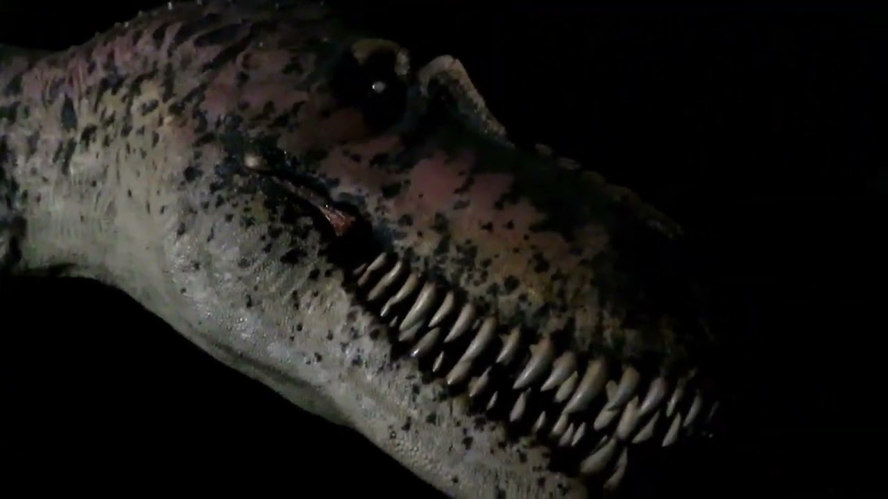 Dinosaur Museum in Branson Mo.