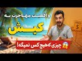 واقعیت مهاجرت به کیش همه چیز درباره زندگی کار و هزینه ها در جزیره کیش