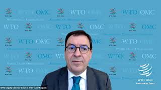 Launch event of Ministerial Statements on Trade, Environment and Sustainable Development