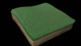 (1080p) Cinema 4D Grass Render Test
