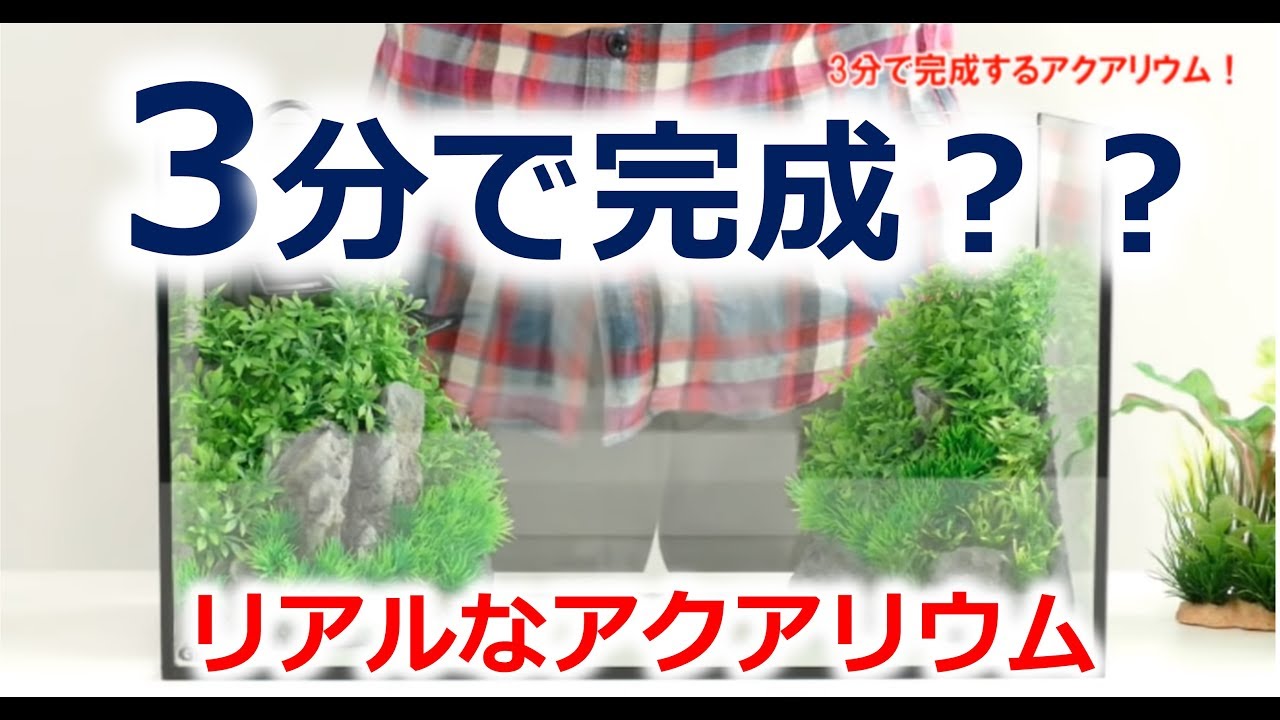 デジタルアート ボートと水草 デジタルアート ボートと水草の通販はau PAY マーケット - 輸入雑貨の
