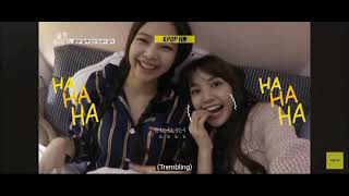 blackpink lisa being blackpink baby and funny and cute moments