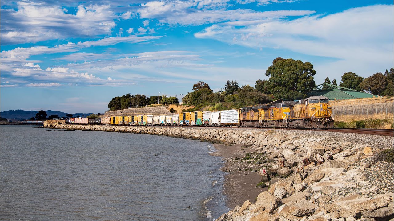 [4K] Trains on the UP Martinez Sub August 2025