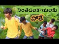 సింతపలకాయలకు పోతే // సీతాఫలం // castard Apple // Village Fruits // #ultimatevillagecomedy
