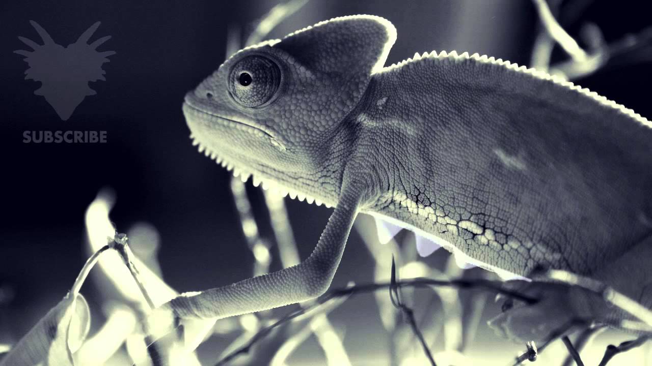 OVERWERK - Conquer [FREE Download]