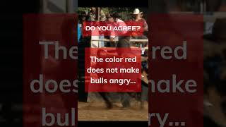 Bulls are color blind!? I thought ... #shorts #facts #bulls