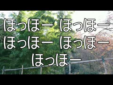 静かな湖畔