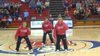 Uchs Dance Team 2013-2014