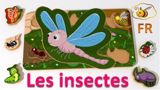 Jouets pour bébé: casse-tête avec les insectes. Dessin animé en français