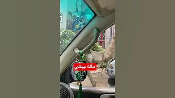وربي شفت الدموع في عيونه ليش كذا 