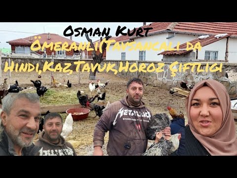 Ömeranli(Tavsancali)da Osman Kurt un Hindi,Kaz,Tavuk,Horoz Çifligi