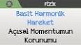 Momentum ve Hareketin Korunumu ile ilgili video