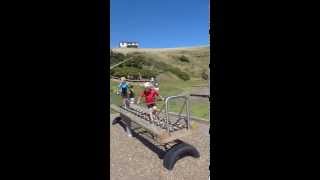 Net See Saw | Spring Motion and Rotating