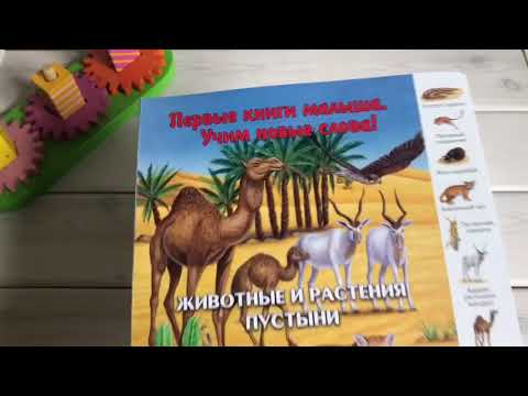 ОбзорКниги 👉 Животные и растения пустыни - Первые книги малыша Учим новые слова - изд Улыбка