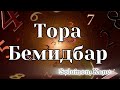 Аудио Тора в дорогу Книга Бемидбар