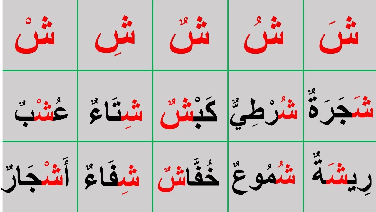 تعليم حرف الشين بالفتح والضم والسكون في أول الكلمة وفي وسط الكلمة وفي آخر الكلمة