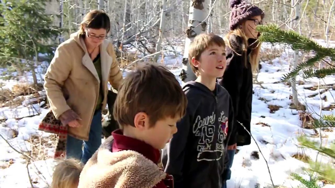 Cutting a Christmas tree in the mountains YouTube