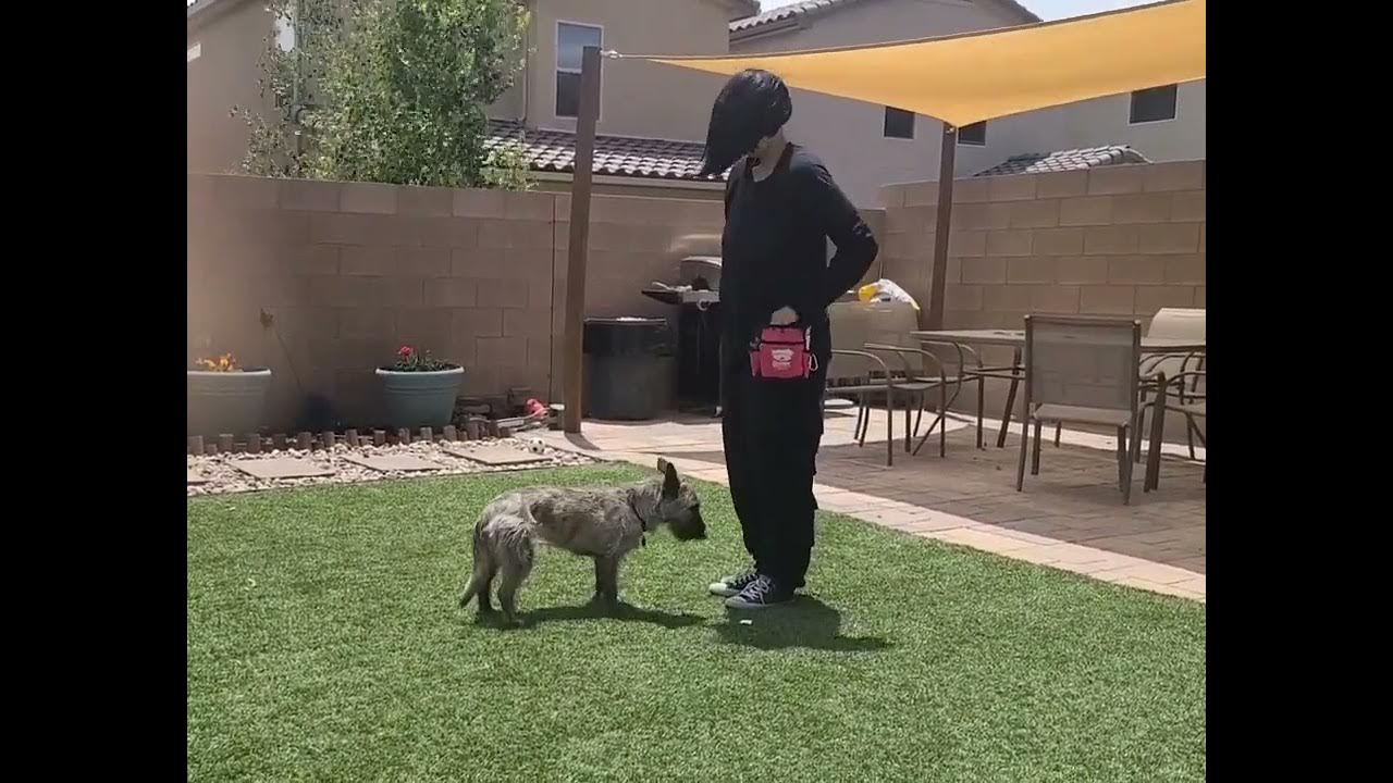 kpastand1demomm YouTube