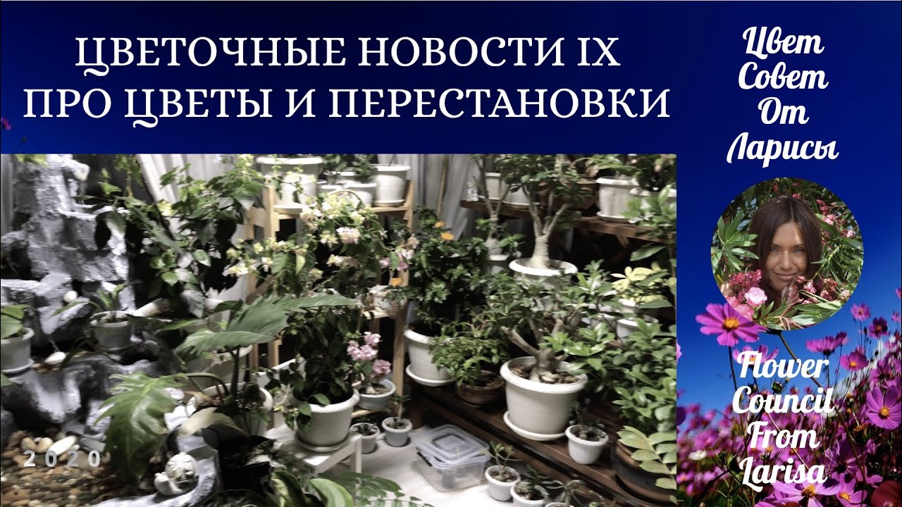 Цветочные советы от елены