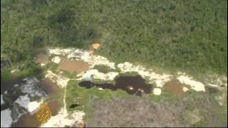 'Corruption' mars Indonesian logging ban