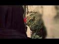 يا عمر الورد للمنشد محمد حيدر عواضه