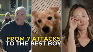 This Family Was About to Pick the Wrong Dog 😳 | Better Human Better Dog | S05E02