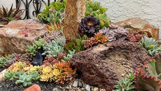 IT’S THE GRAND REVEAL OF THE SUCCULENT JEWEL BOX GARDEN IN OCEANSIDE💎