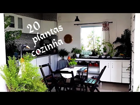 Vídeo: Plantas De Interior Na Sua Cozinha