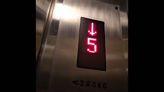 The smallest elevator I've ever seen (Generic elevators in a Random Bar)