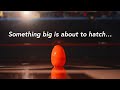 Something big is about to hatch…🥚