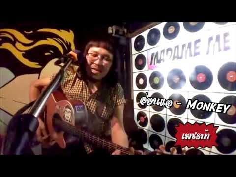 อ่อนแอ - Monkey cover by เพชรบ้า @ร้าน มาดามมีบาร์