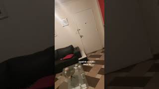 I don't understand my dog's psyche.