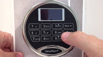 ProLogic Series - Enable DUAL Mode- ProLogic L22-L66 -- SecuRam