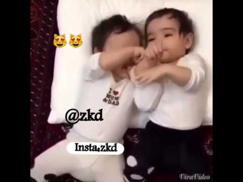 ي قلبيو يا زينهم