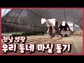 [남도지오그래피] 우리 동네 마실 돌기, 전남 영광｜KBS 220510 방송