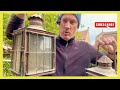 Super barn find lanterns renovation of our old french country house ep85