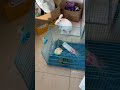 #喜爱度激励计划😂🔥🔥🔥